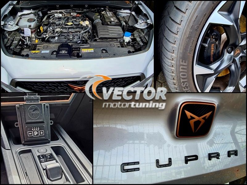 Vector tuning tunirao je Cupru Formentor 2.0 TSI 4Drive (11/2020 -) s W Keypad SENT-om!