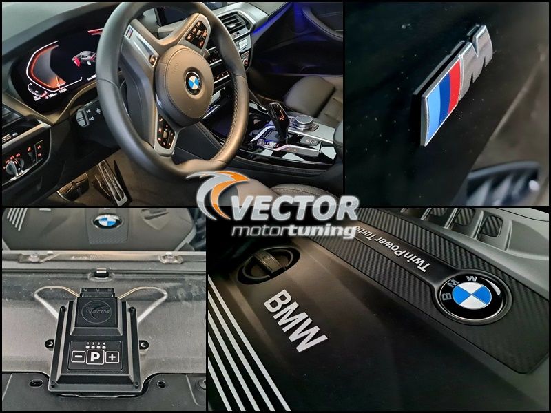 Vector Tuning reduced fuel consumption on BMW X4 xDrive 30d with W Keypad PLUS!